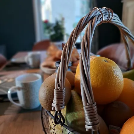 Les Marmottes - Maison De Hébergement de vacances La-Roche-en-Ardenne